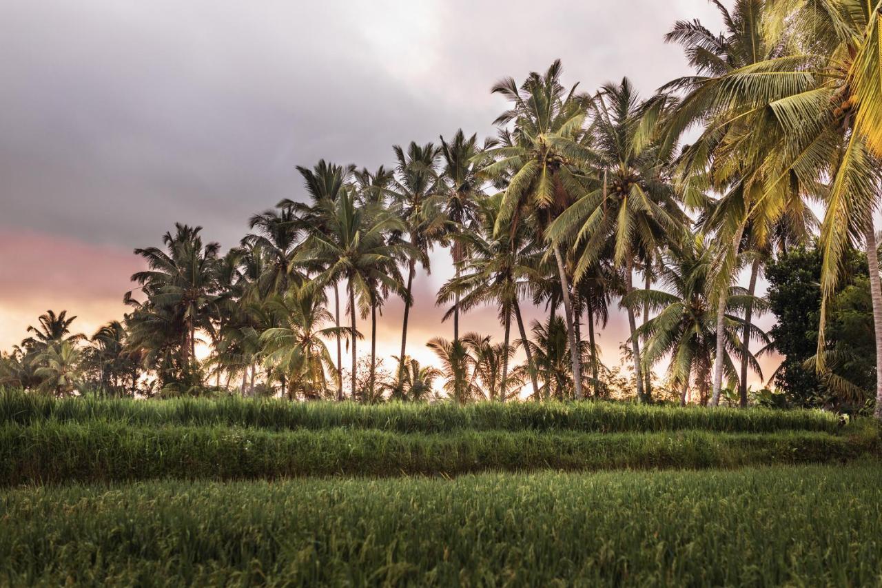 The Luxe Ubud Экстерьер фото