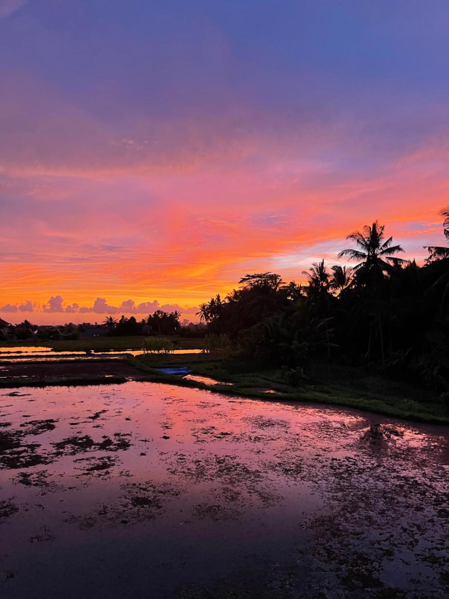 The Luxe Ubud Экстерьер фото